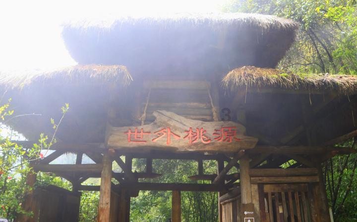 篮球大师