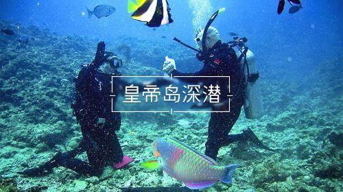 大城市生活的女孩