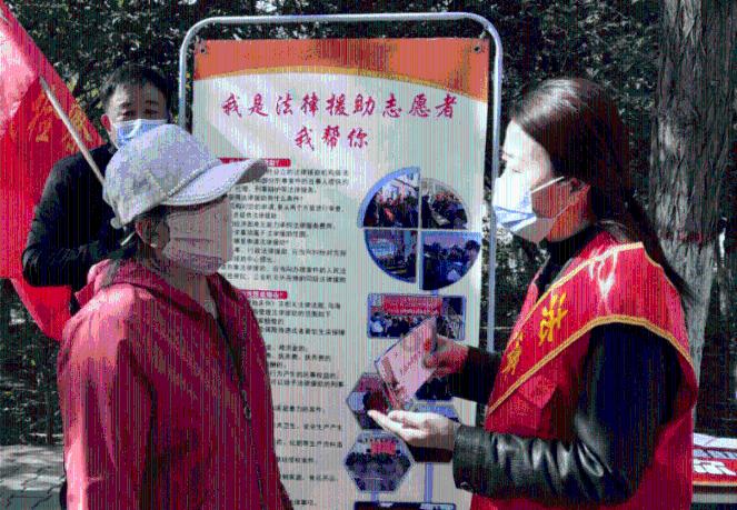有趣的动物拼图